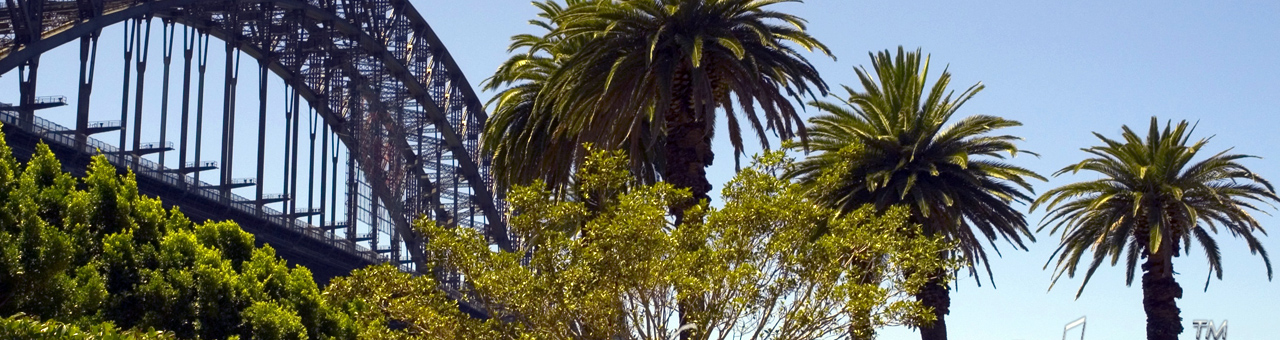 【功能对比测评】全面分析的轰炸手机软件